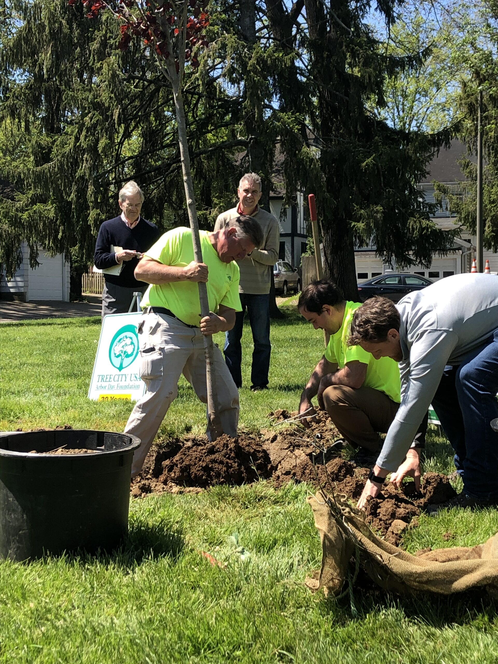 Planting the Tree | Mariemont Preservation Foundation