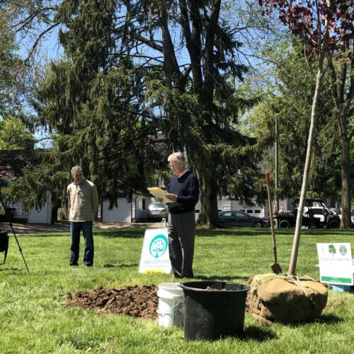 Mayor Bill Brown declares May 1, 2021 Mariemont Arbor Day